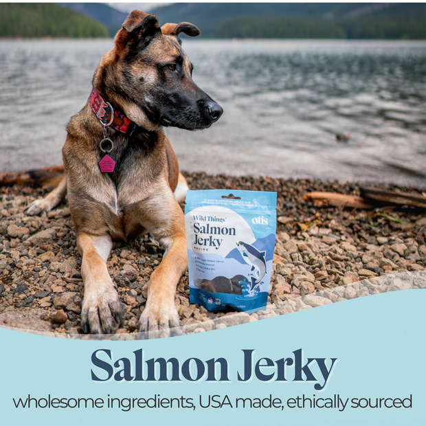 Salmon Recipe | Wild Things Jerky For Dogs