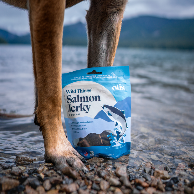 Salmon Recipe | Wild Things Jerky For Dogs