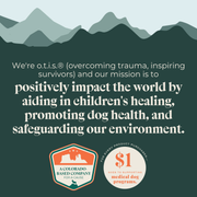 Trainers | Bison Recipe